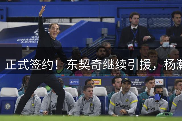 正式签约！东契奇继续引援，杨瀚森被挖墙脚！